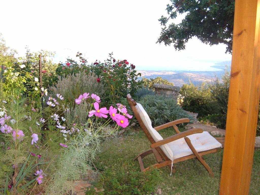 Rose Garden - Gan Vradim Villa Amirim Luaran gambar